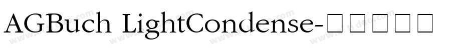 AGBuch LightCondense字体转换